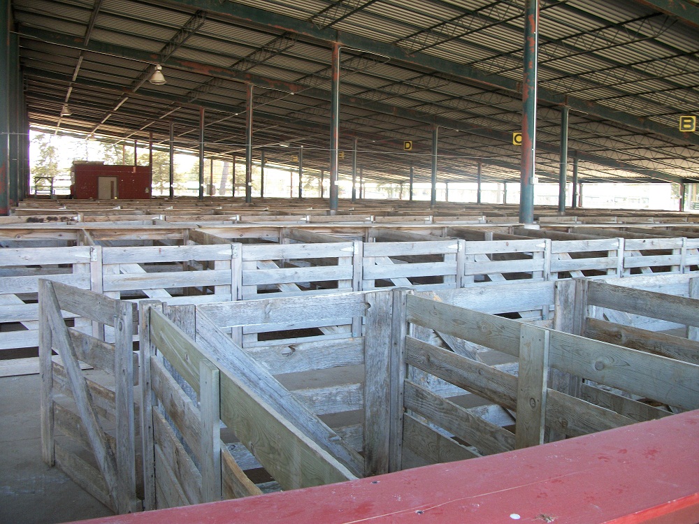 Photo of the 4-H Complex Stalls empty.